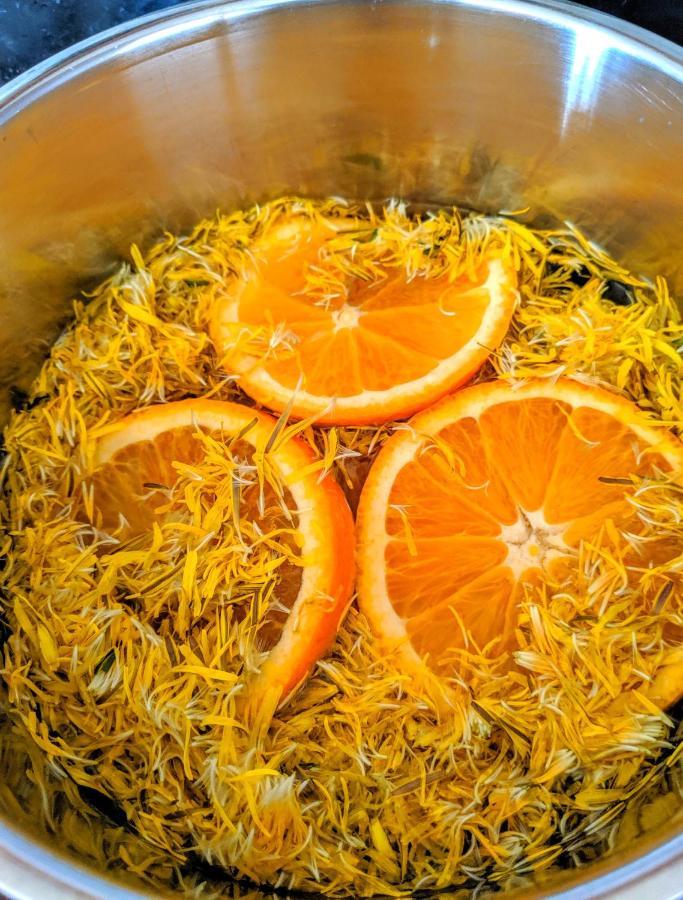 The Turnip Bed And Breakfast Parson's Pond エクステリア 写真